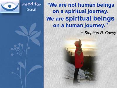 Feed for Soul quotes at Feed4Soul: Self-Discovery - We are not human beings on a spiritual journey. We are spiritual beings on a human journey - Ctephen Covey